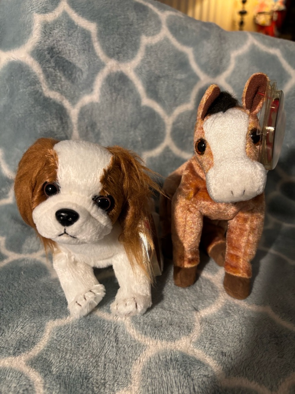 Ty Beanie Babies collectibles Regal / Oats